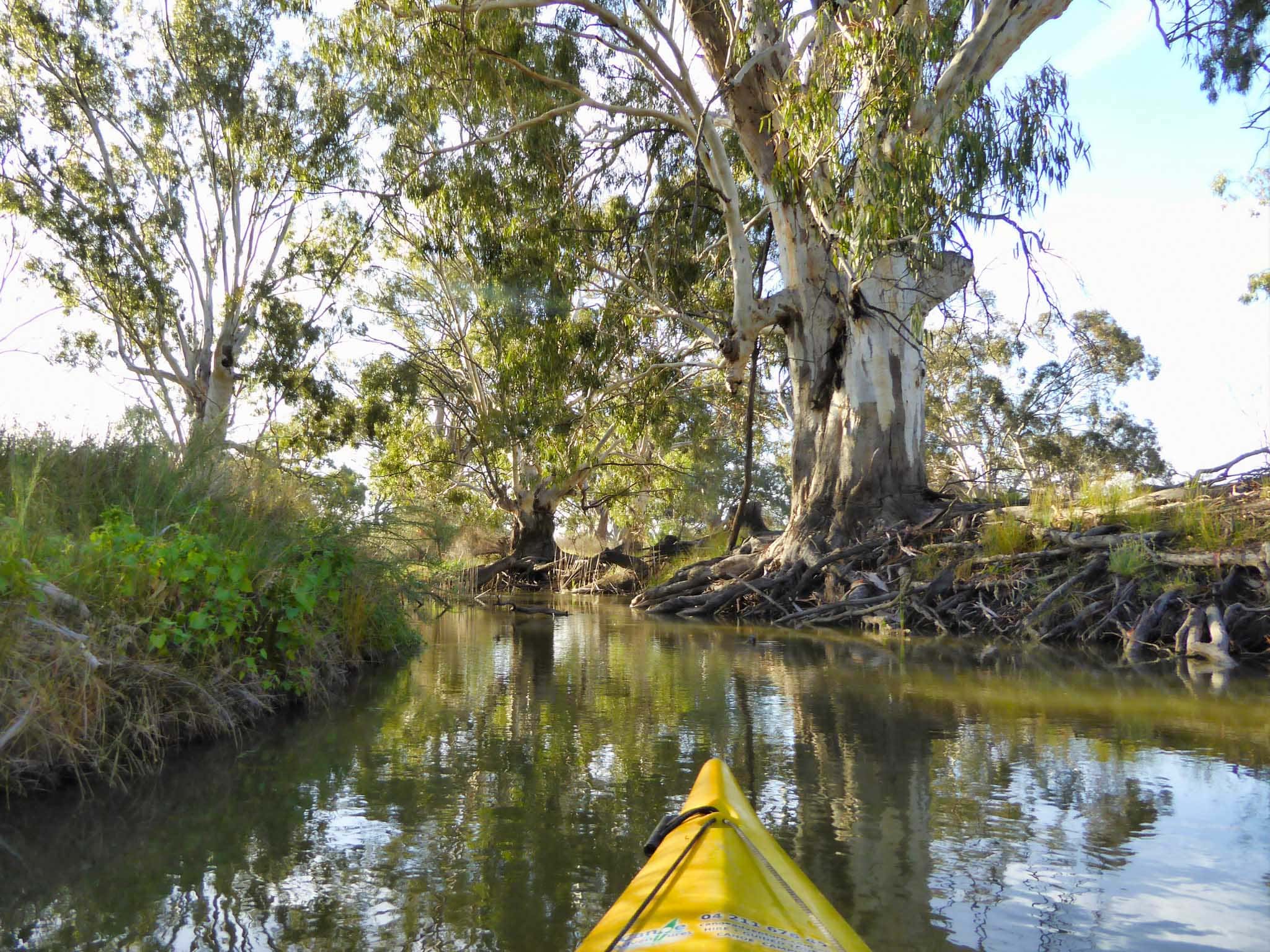 Katarapko a great spot to explore by canoe and kayak Canoe Adventures