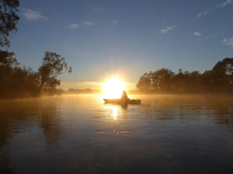 silhouette of kayaker in the mist, on the river in a golden sunrise