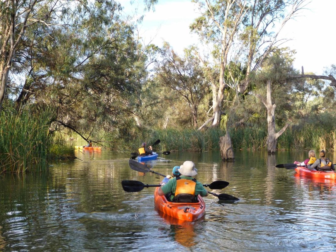 Three Double kayaks pass through the narrow, tree-lined Eckert's creek