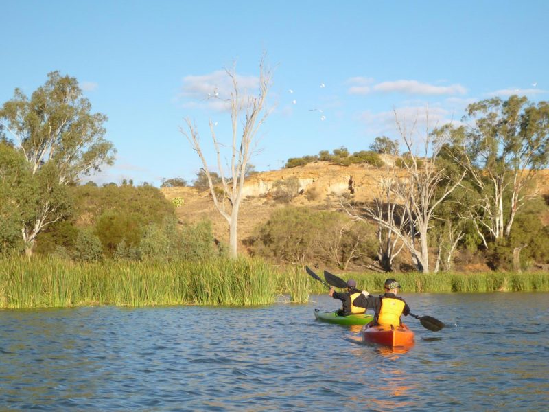 kayakers on reed-lined lake