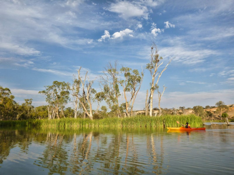 Kayakers on lake near Berri SA