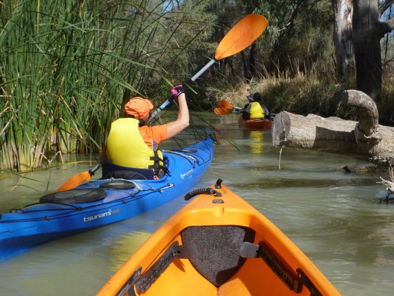 kayaks travelling down narrow creek