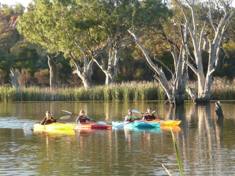 kayakers on Nockburra Creek