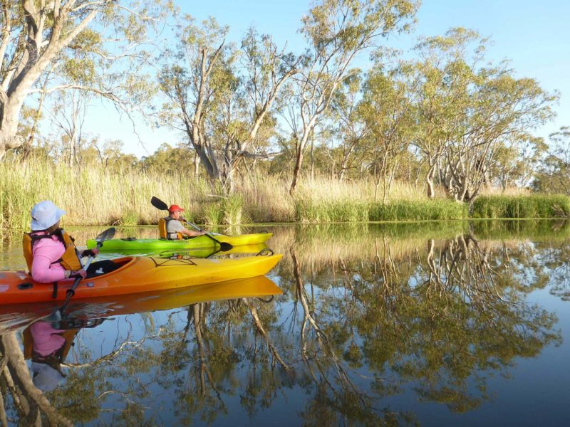 colourful kayakers on tree-lined Gurra Gurra creek