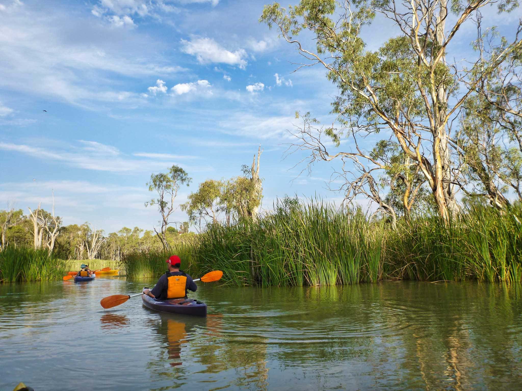 Short Tours | Kayak and Canoe the Riverland