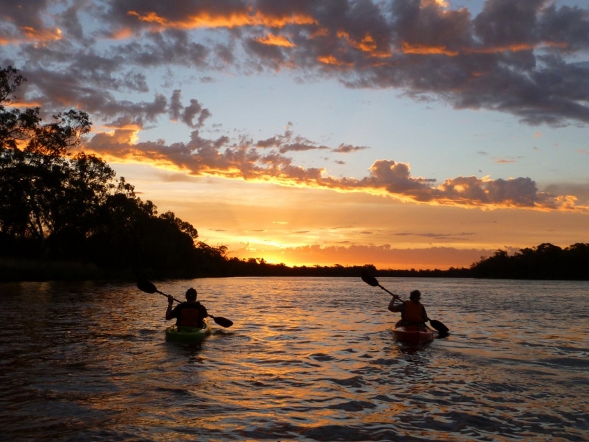 Sunset Kayak (or Canoe) Tours in the Riverland, South Australia