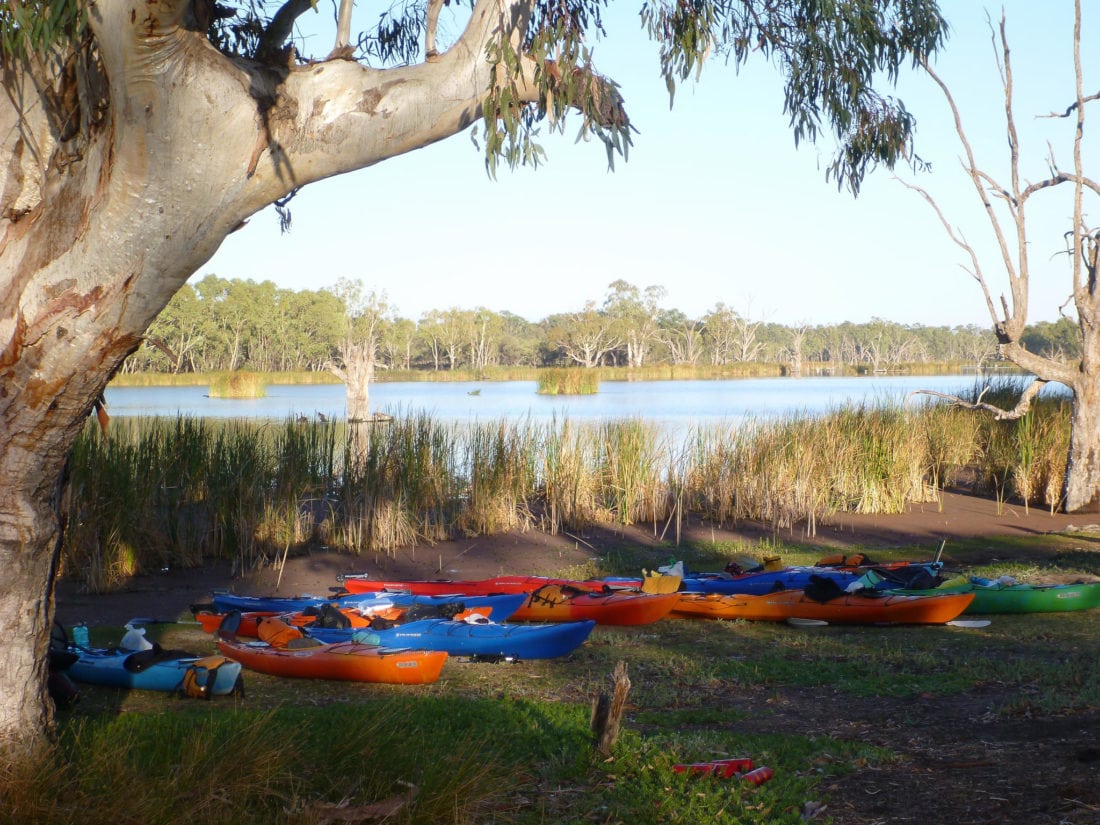 kayaks loaded for a camping expedition, lined up on the creek bank