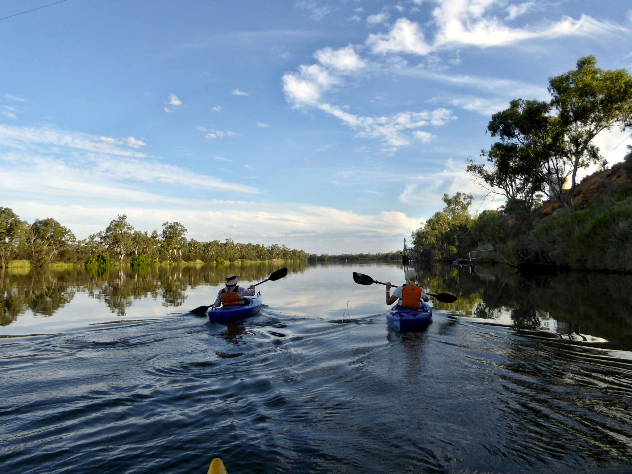 Enquiries for Canoe Adventures in the Riverland