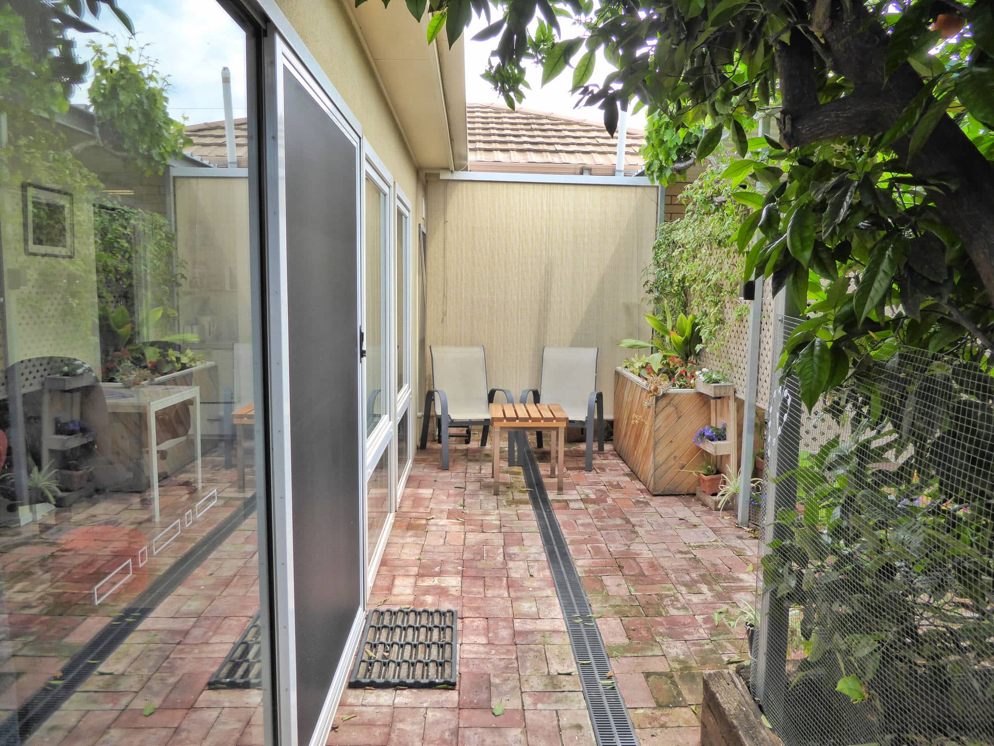 Brick courtyard, with planter box, orange tree and full-length windows into roo,