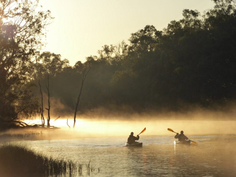 Kayakers at sunrise silhouetted against the morning light shining through the mist sitting on the water.