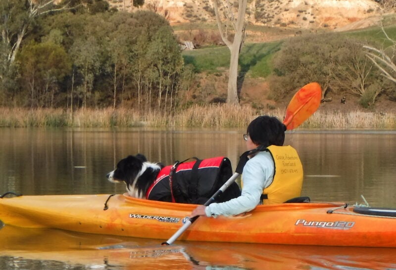 dog and owner both wearing pfd in single kayak with hill/cliff in background